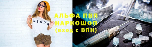 ПСИЛОЦИБИНОВЫЕ ГРИБЫ Богородицк