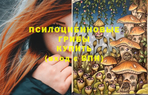марки lsd Богданович