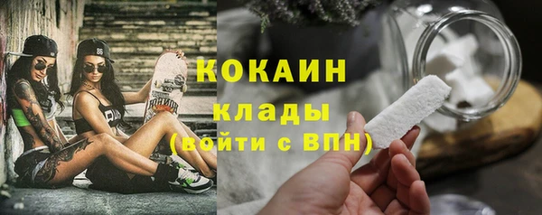 ПСИЛОЦИБИНОВЫЕ ГРИБЫ Богородицк