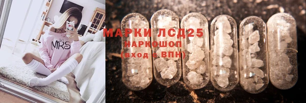 ПСИЛОЦИБИНОВЫЕ ГРИБЫ Богородицк