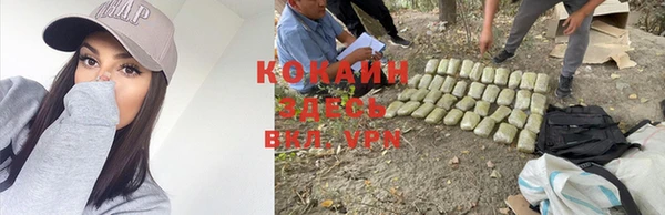 ПСИЛОЦИБИНОВЫЕ ГРИБЫ Богородицк