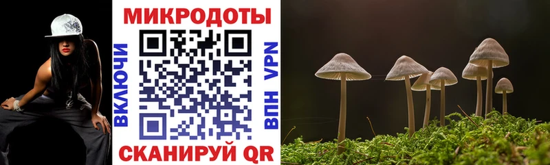 мега как зайти  как найти закладки  Дмитриев  Галлюциногенные грибы Psilocybine cubensis 